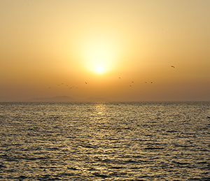 photo_07